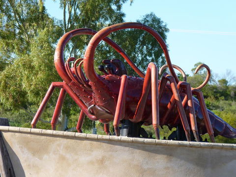 Leander Reef Holiday Park - Accommodation Sydney 4