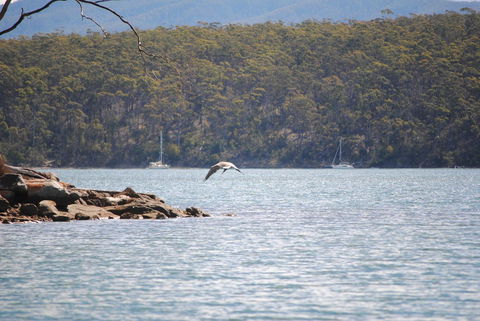 A Slice Of Paradise - Sydney 4u 18