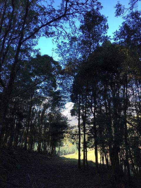 Manna Hill Farm - Accommodation Sydney 27