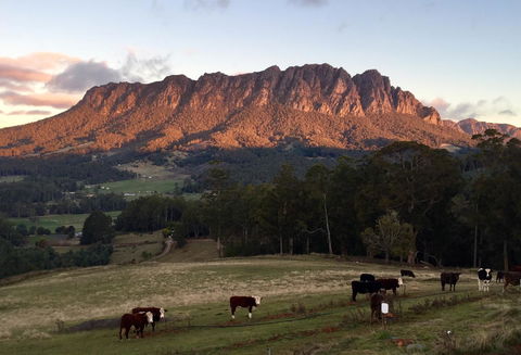 Manna Hill Farm - Accommodation Sydney 10