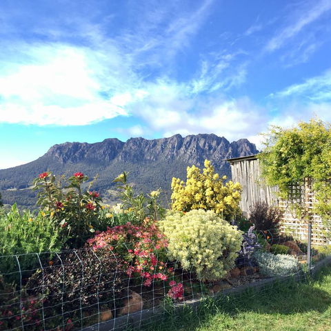 Manna Hill Farm - Accommodation Sydney 1