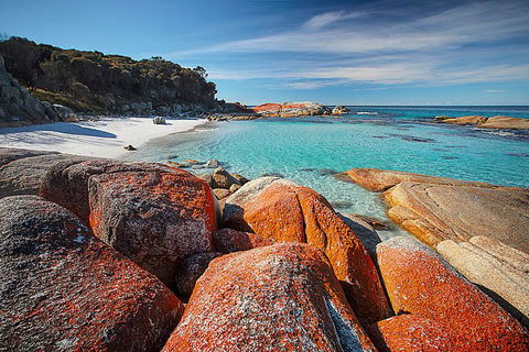 Georges Bay Apartments - Sydney 4u 0
