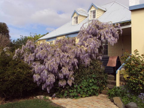 Orford's Sanda House B&B - Sydney 4u 40
