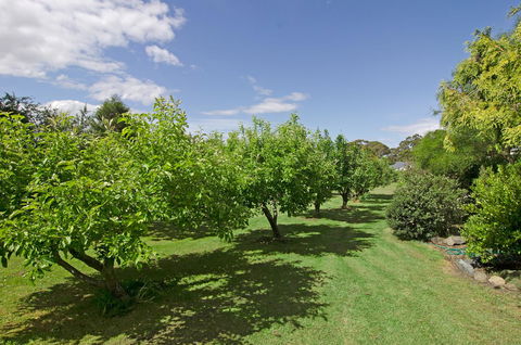 Orford's Sanda House B&B - Sydney 4u 37