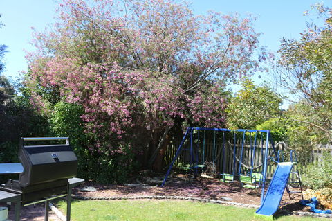 Sisters Beach Paradise - Sydney 4u 9