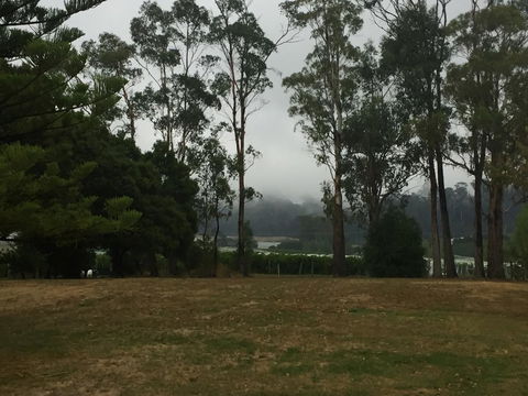 Amble\'a\'While On Tamar - Accommodation Sydney 39