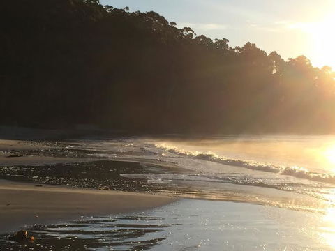 Summertime Cottage - Accommodation Sydney 7
