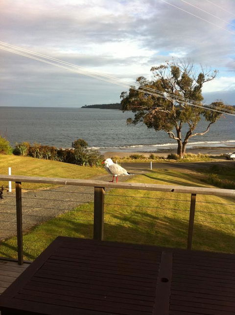 Summertime Cottage - Accommodation Sydney 30