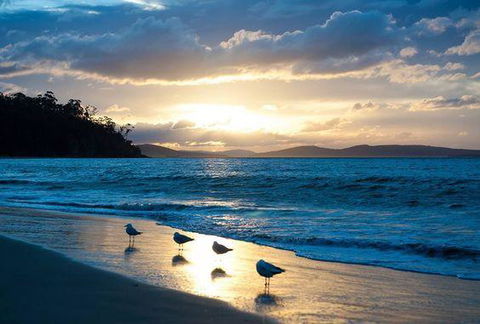 The Ultimate Beach House - Sydney 4u 8