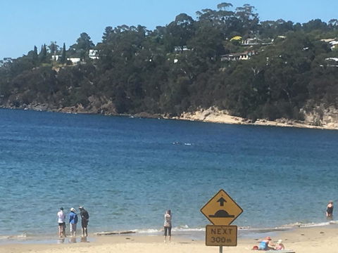 The Ultimate Beach House - Sydney 4u 2
