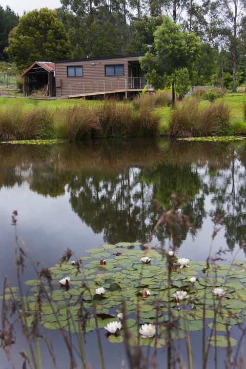 Tyenna River Cottages - Sydney 4u 13