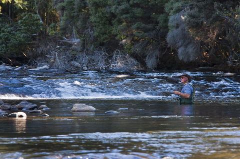 Tyenna River Cottages - Sydney 4u 21
