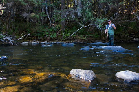 Tyenna River Cottages - Sydney 4u 2