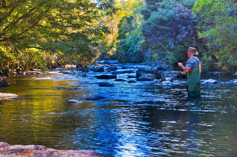 Tyenna River Cottages - Sydney 4u 22