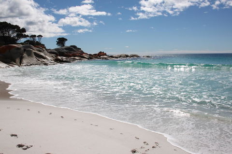 SEA EAGLE COTTAGE Amazing Views Of Bay Of Fires - Accommodation Sydney 14