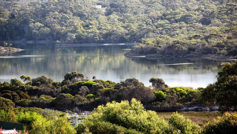 SEA EAGLE COTTAGE Amazing Views Of Bay Of Fires - Accommodation Sydney 17