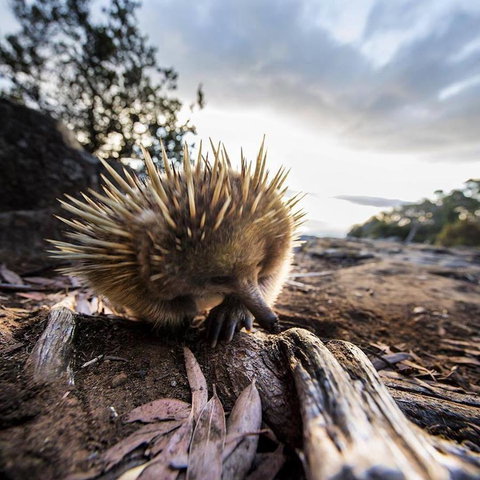 Maydena Chalet - Accommodation Sydney 38