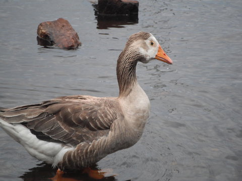 Maydena Chalet - Accommodation Sydney 39