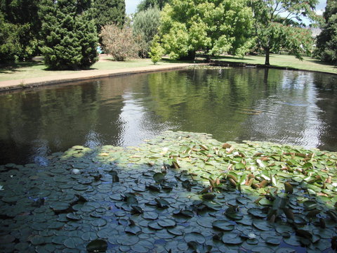 Maydena Chalet - Accommodation Sydney 23