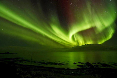 Maydena Chalet - Accommodation Sydney 37