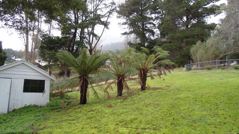 Maydena Chalet - Accommodation Sydney 44