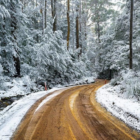 Maydena Chalet - Accommodation Sydney 41