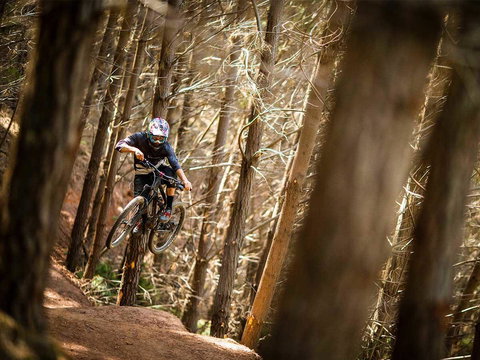 Maydena Chalet - Accommodation Sydney 6