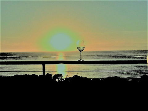 Cocktails With A View - Sydney 4u 20