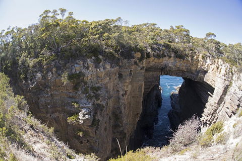 Eaglehawk Pavilions - Sydney 4u 34