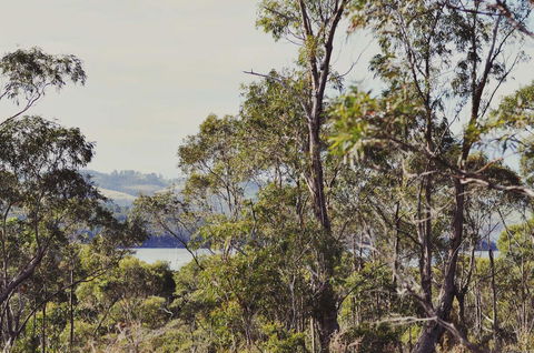 Oyster Cove Chalet - Sydney 4u 17