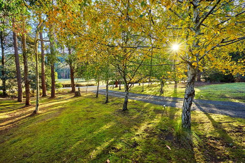 Oyster Cove Chalet - Sydney 4u 1