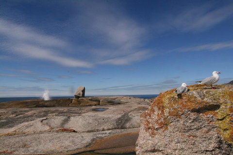 Suntrap Cove Bicheno - Accommodation Sydney 37