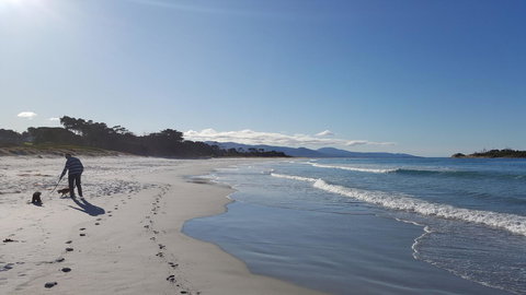 Suntrap Cove Bicheno - Accommodation Sydney 5