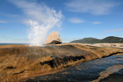 Suntrap Cove Bicheno - Accommodation Sydney 0