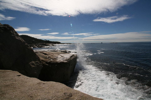 Suntrap Cove Bicheno - Accommodation Sydney 40