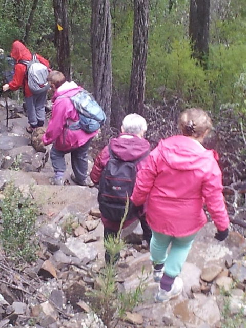 Suntrap Cove Bicheno - Accommodation Sydney 2