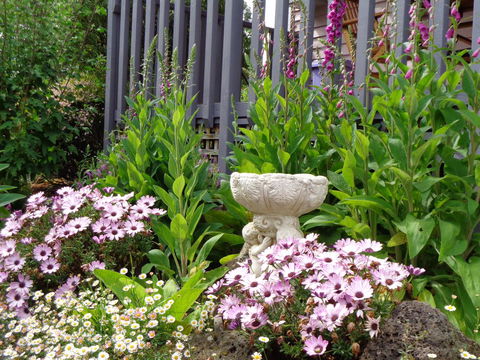 Post House Cottage - Sydney 4u 19