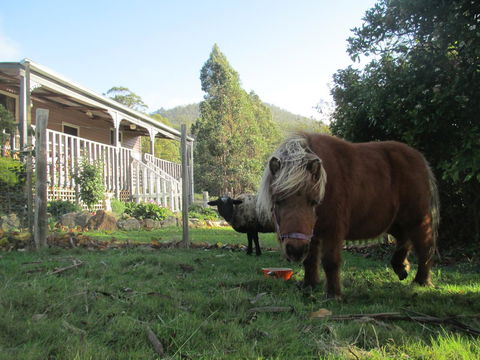 Post House Cottage - Sydney 4u 3