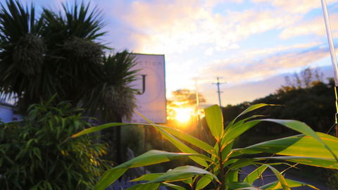 New Norfolk Junction Motel - Sydney 4u 31