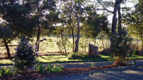 Karoola Cottage Self Contained - Sydney 4u 25