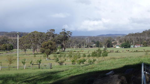 Karoola Cottage Self Contained - Sydney 4u 11