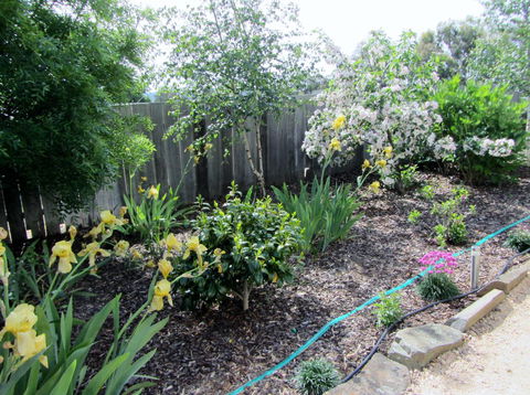 Elm Trees Accommodation @ Ross - Accommodation Sydney 6