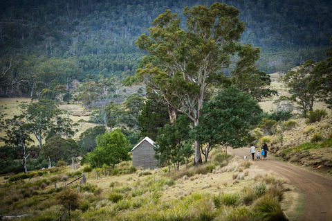Twamley Farm - Sydney 4u 16