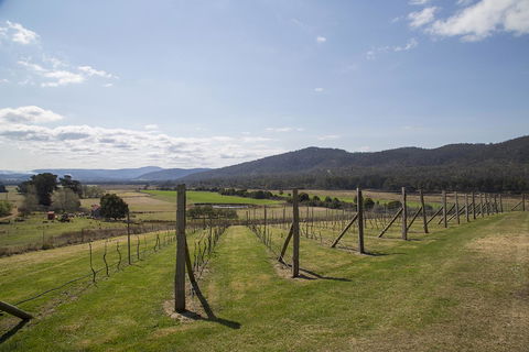 Twamley Farm - Sydney 4u 7
