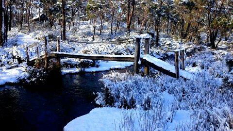 Cradle Mountain Love Shack - Sydney 4u 10