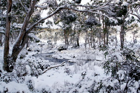 Cradle Mountain Love Shack - Sydney 4u 11