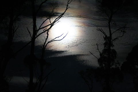 Cradle Mountain Love Shack - Sydney 4u 12