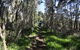 Riverwalk B&B - thumb 31