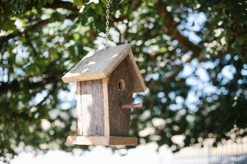 Old White Church Bed & Breakfast - Sydney 4u 31
