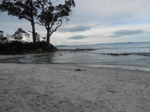 Bruny Ocean Cottage - Sydney 4u 7